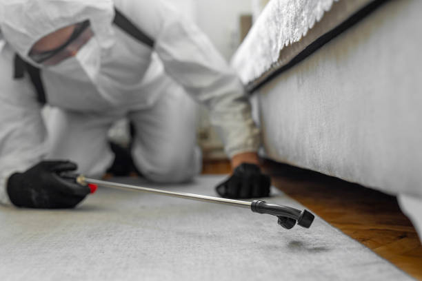 Professional Bed Bug Control technician working in Middleport, NY